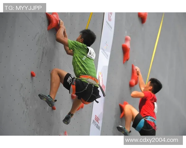 武汉飞盘队在攀岩联赛中的精彩表现与实力分析