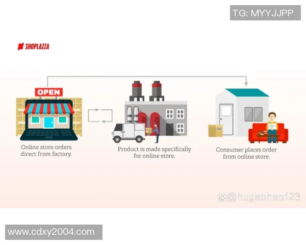无货源跨境电商如何打造高效盈利模式并降低风险分析