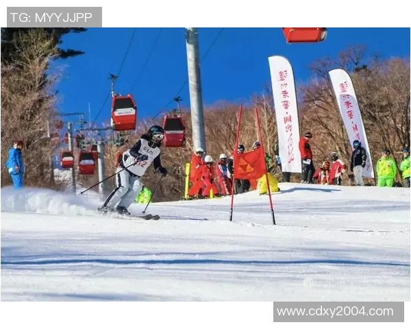 成都极限运动队力量之争引发热议与思考