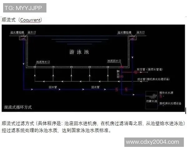 泳池清洁与维护全指南如何保持水质清澈延长池体使用寿命