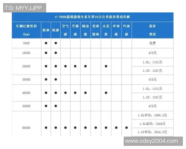 汽车保养全攻略：延长爱车使用寿命的关键步骤与技巧