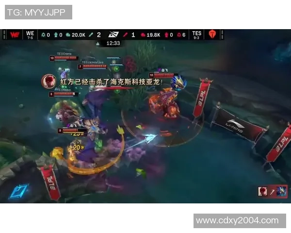 赛后分析：WE与TES对决中的战术运用与技术细节探讨