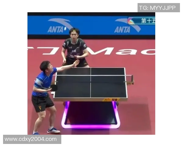 从零起步掌握乒乓球战术技巧全解析助你成为乒乓高手